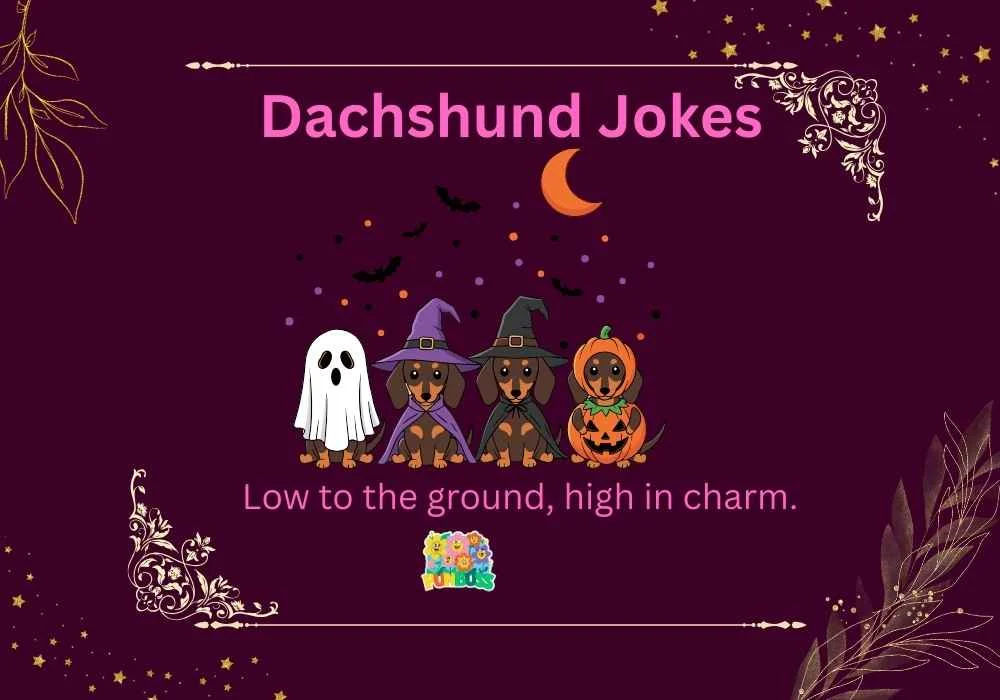 Dachshund Jokes