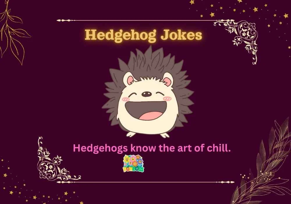 Hedgehog Jokes