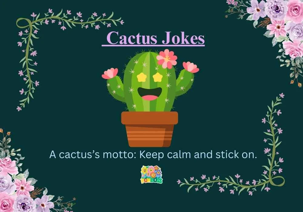 Cactus Jokes