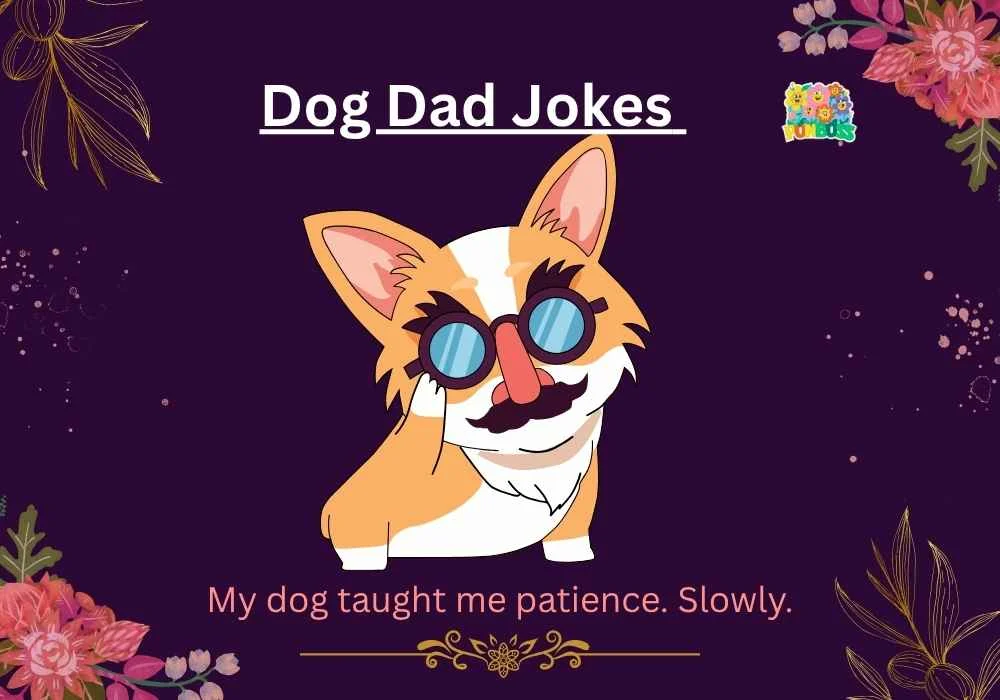 Dog Dad Jokes