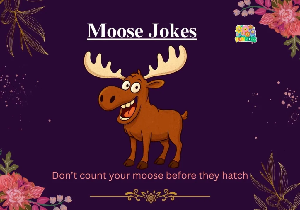 Moose Jokes