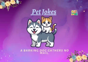 Pet Jokes