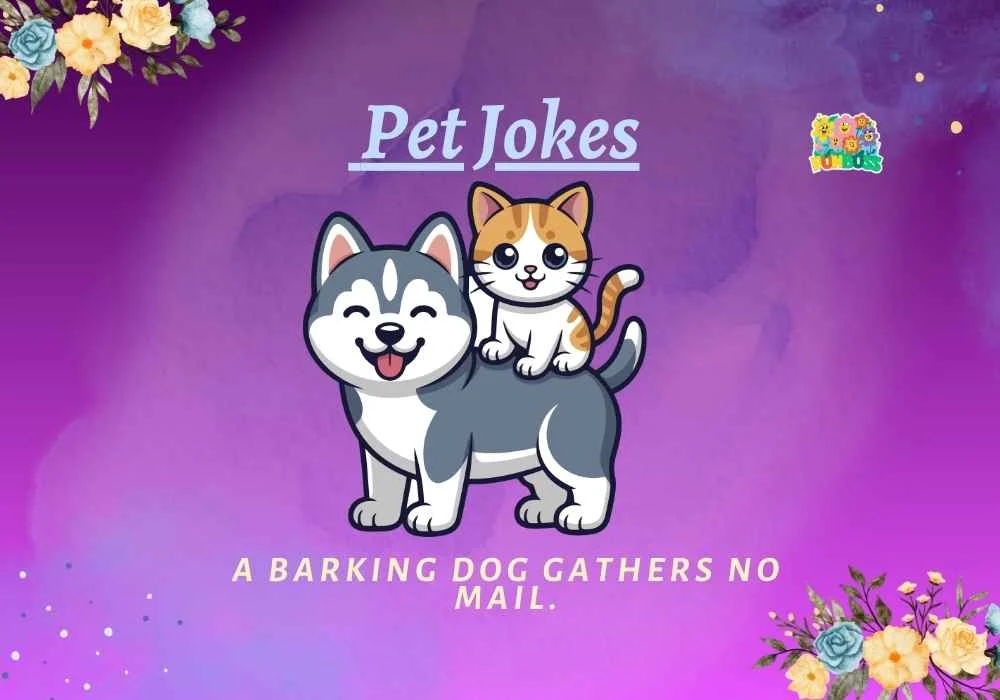 Pet Jokes